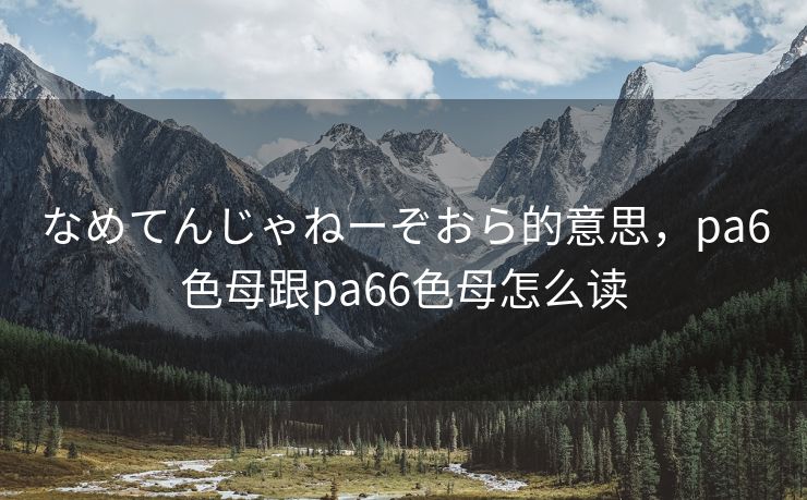 なめてんじゃねーぞおら的意思,pa6色母跟pa66色母怎么读 なめてんじゃねーぞおら的意思,pa6色母跟pa66色母怎么读