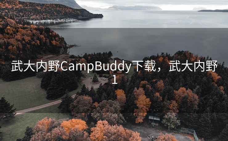 武大内野CampBuddy下载，武大内野1